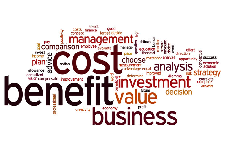 Cost-Benefit Analysis words